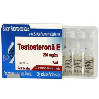 Testosterona E 250mg/amp